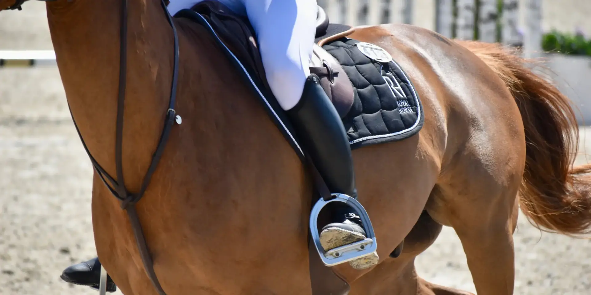 Branche etrier alfa jump safety1