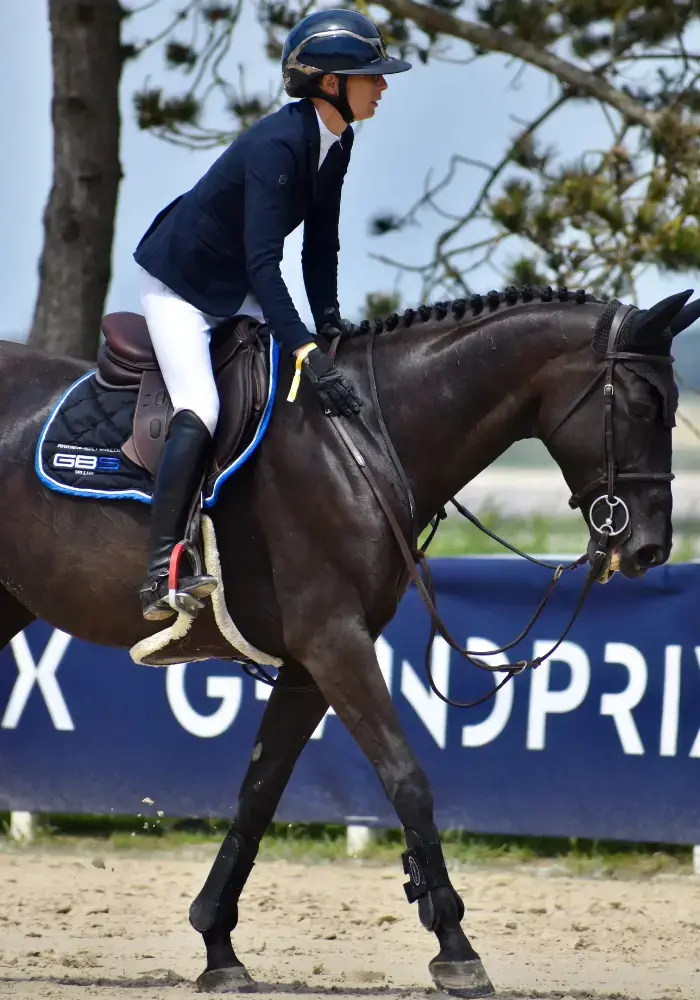 Branche etrier alfa jump safety3