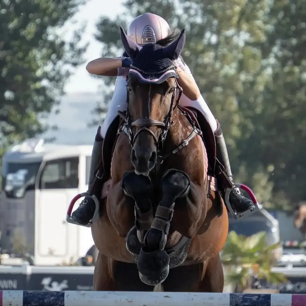 Etrier alfa jump safety1