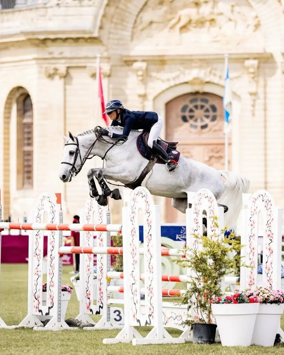 Etrier cso alfa jump