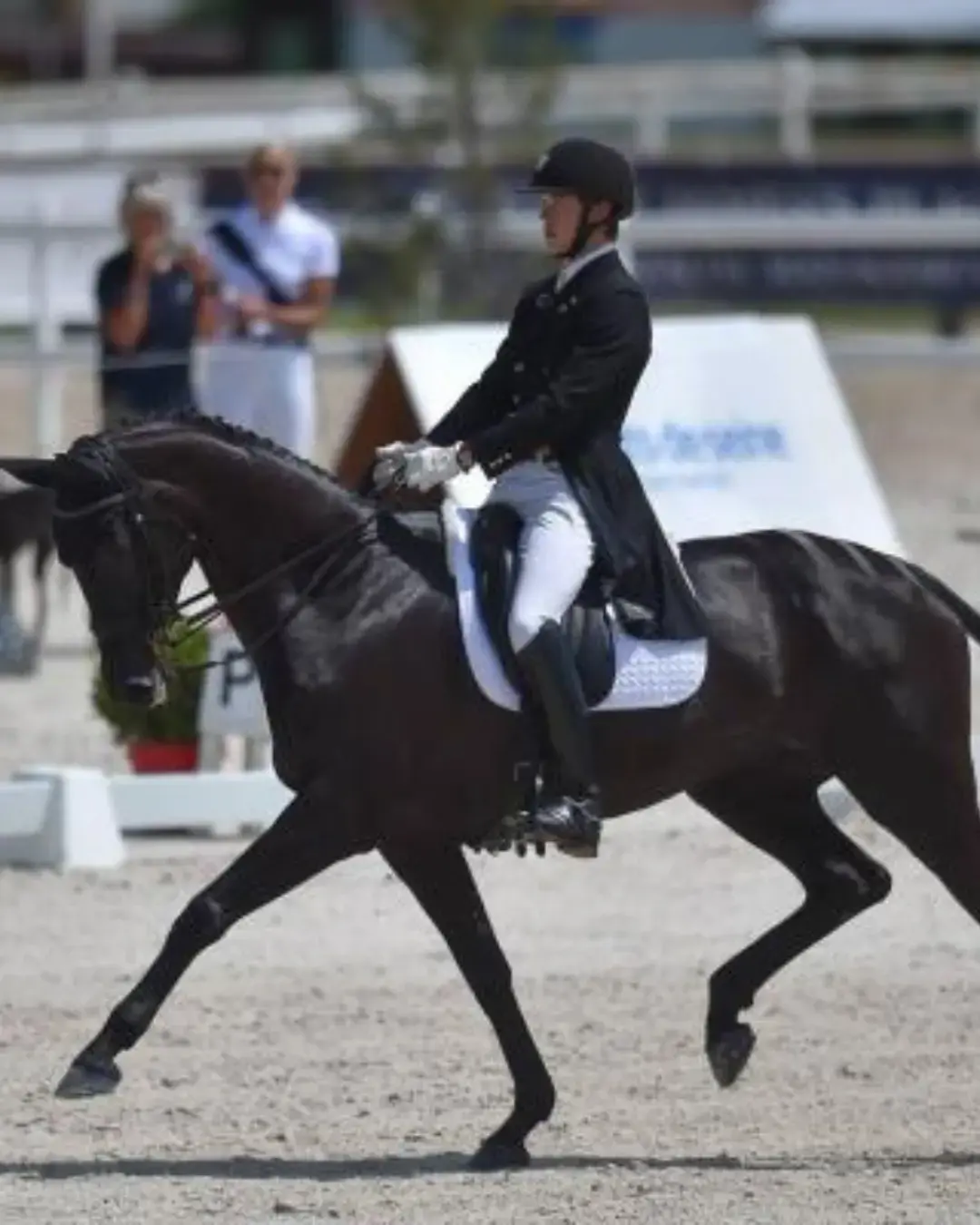 Etrier dressage alfa jump