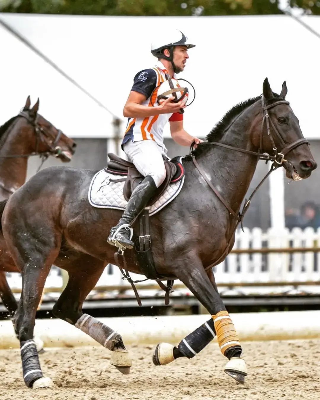 Etrier horse ball alfa jump