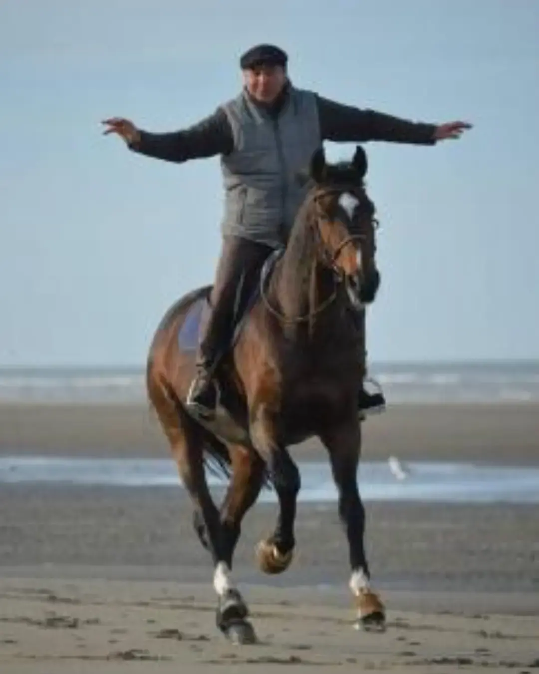 Etrier loisir alfa jump