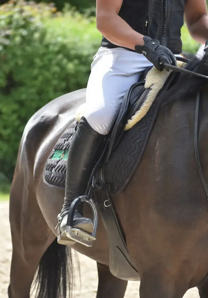 Plancher etrier alfa jump 2