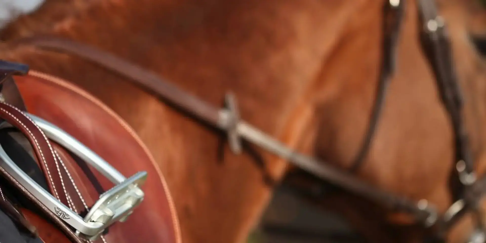 Plancher etrier alfa jump 3