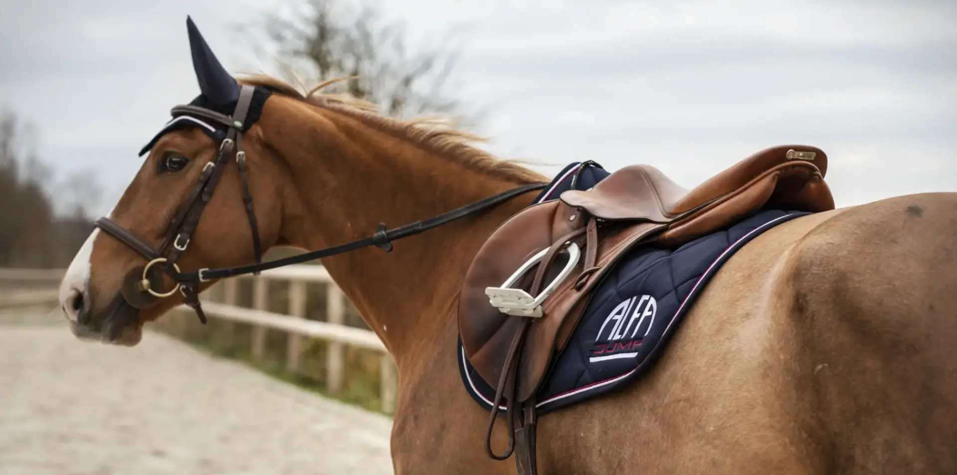 Tapis alfa jump 1